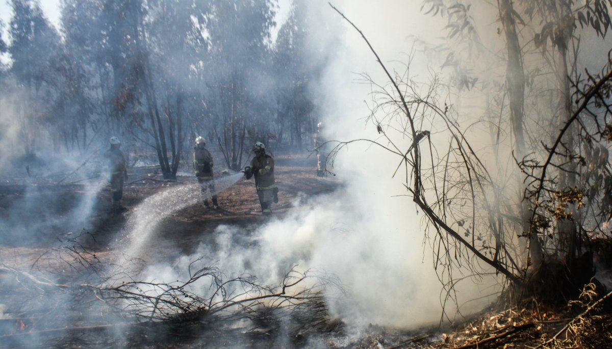 Alerta amarilla en San Antonio y Cartagena debido a un incendio forestal.