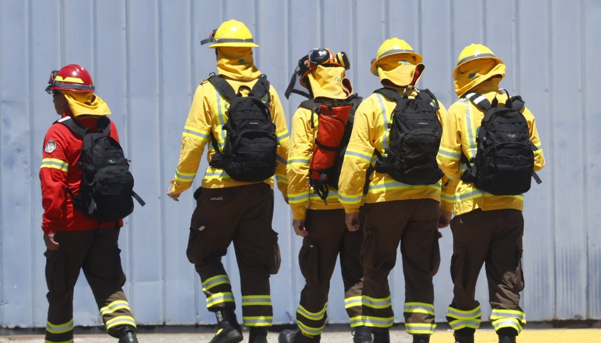 Diputados de RN demandan modificaciones en Conaf y sugieren un plan integral para evitar «incentivos negativos».