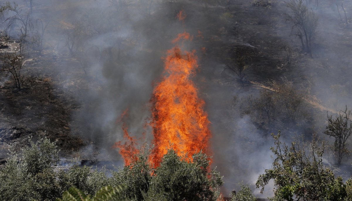 Incendio en la ladera oeste del cerro San Cristóbal impacta área cercana a residencias.