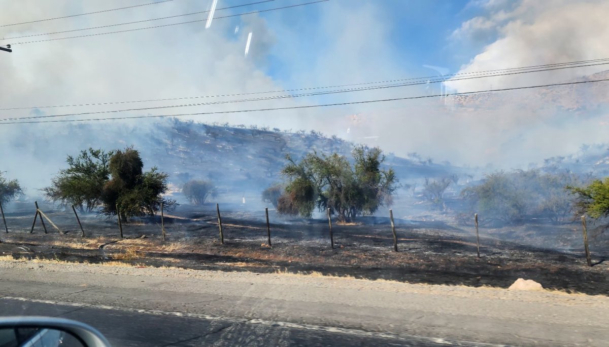 El rápido progreso del incendio en Colina y Tiltil lleva a declarar Alerta Roja.