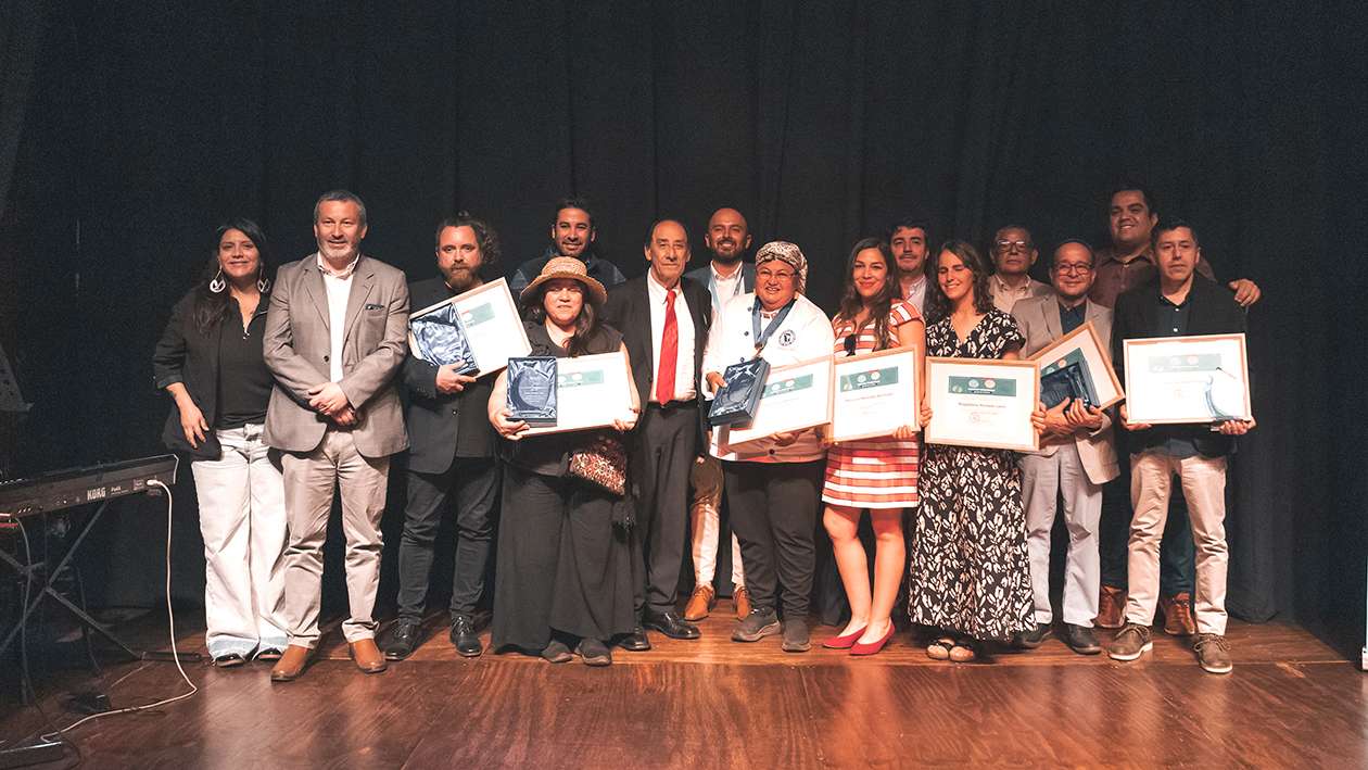 Siete artistas y cultores de O’Higgins recibieron premios en los Regionales de las Culturas 2024.