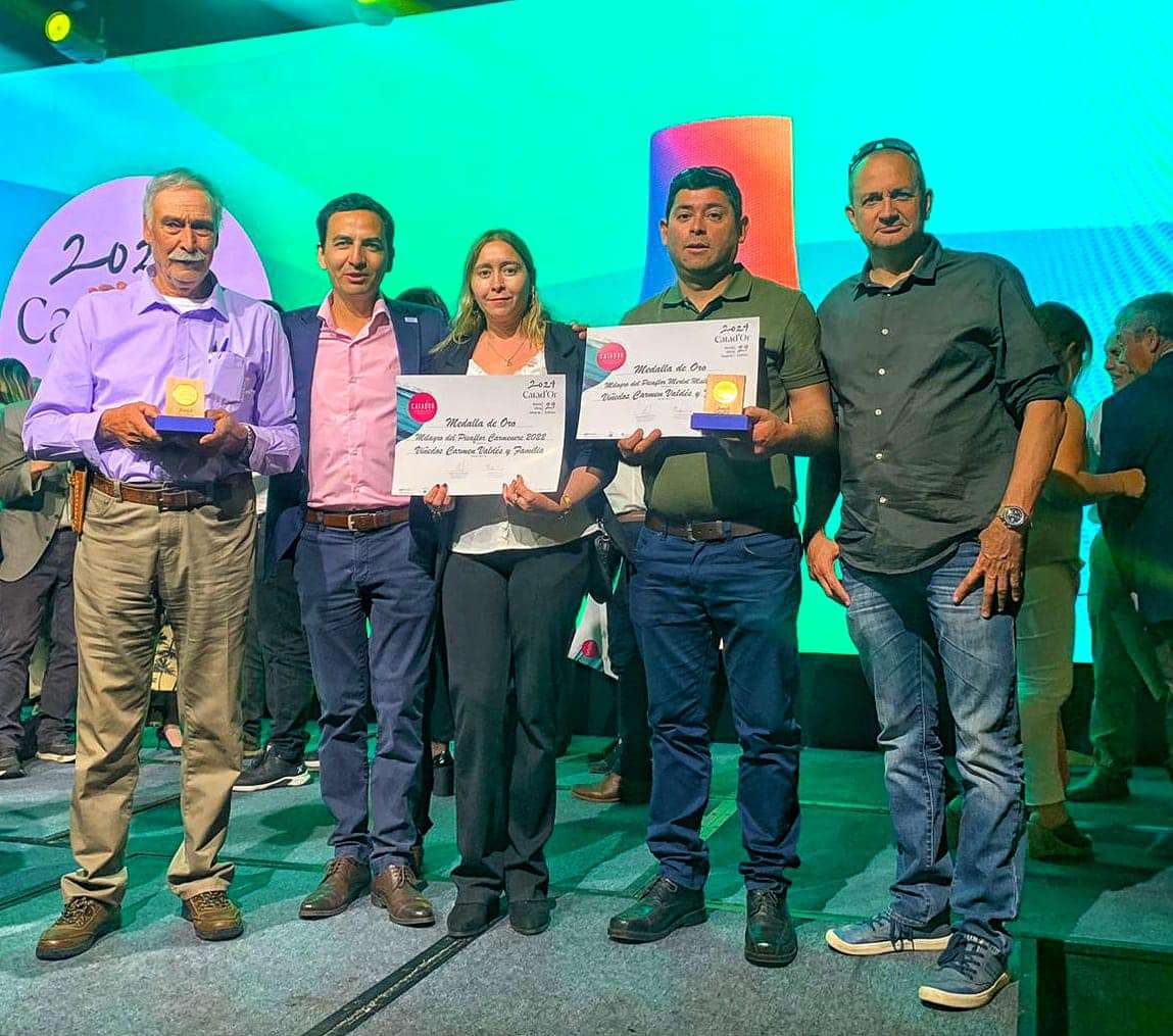 Los vinos campesinos de O’Higgins se destacan entre los más galardonados del país.