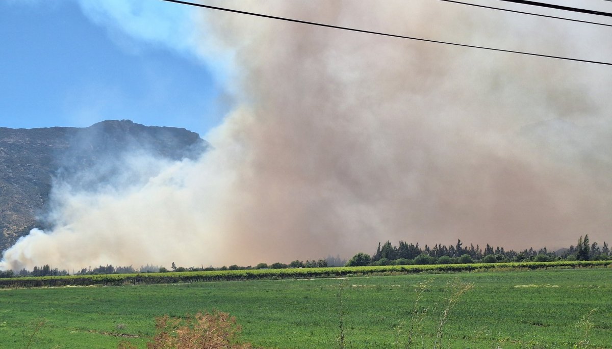 Incendio forestal en Catemu ha dañado al menos cinco viviendas y ha consumido 100 hectáreas.