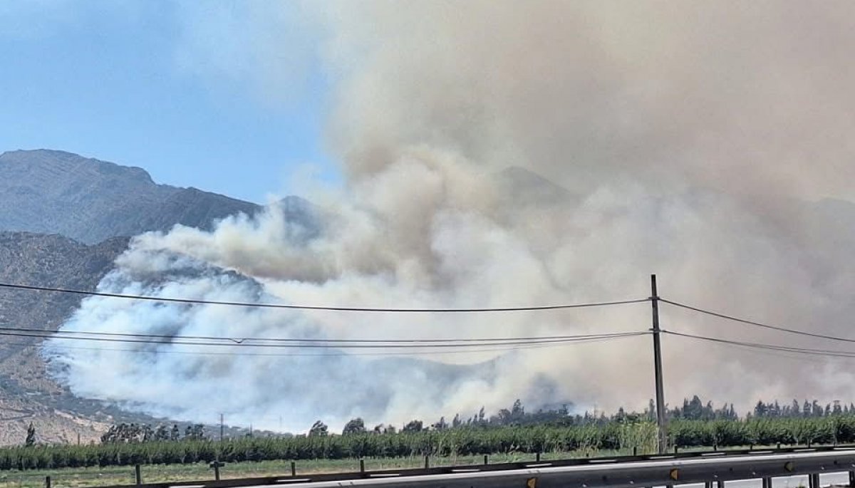 El incendio forestal que llevó a declarar Alerta Roja en la comuna de Catemu ha devastado 50 hectáreas.