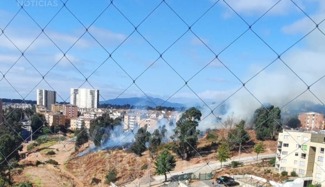 Bomberos y equipo de Conaf luchan contra un incendio forestal en el área de Reñaca Alto, Viña del Mar.