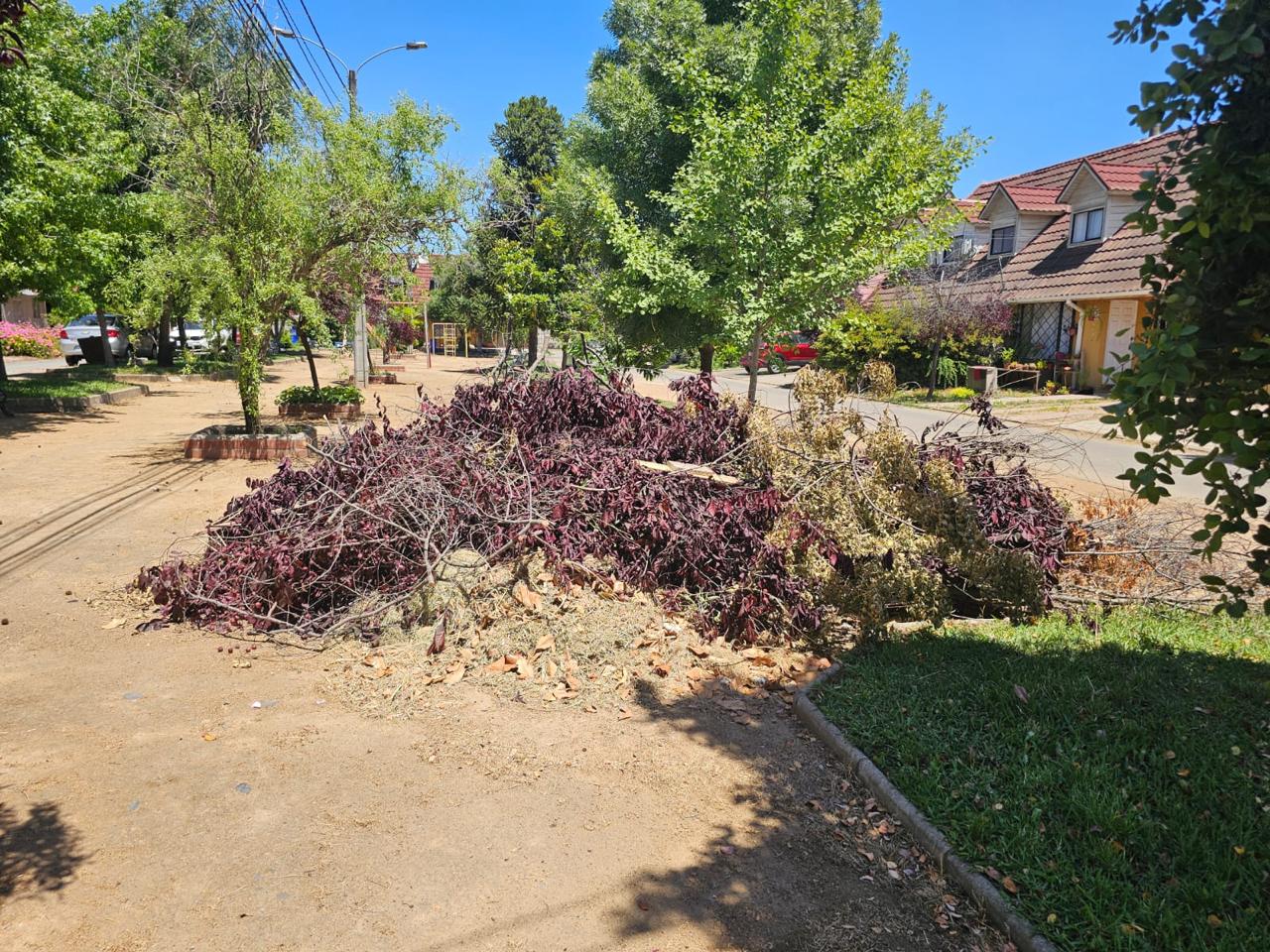 El Sector Norte de Talca: Atrapado entre el desamparo y la falta de eficacia de las autoridades.