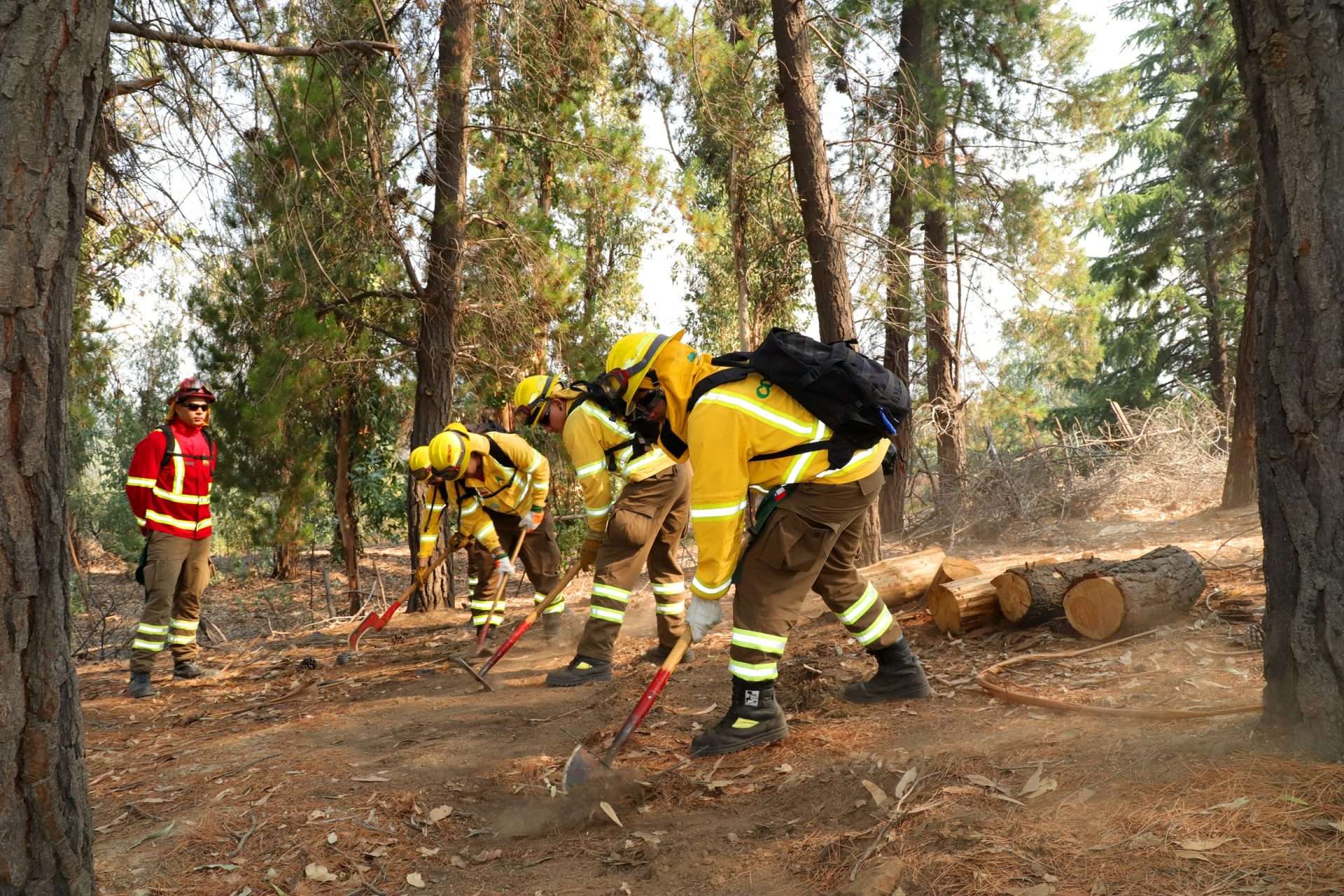 División El Teniente establece un Comité Operativo para gestionar el control de incendios forestales.