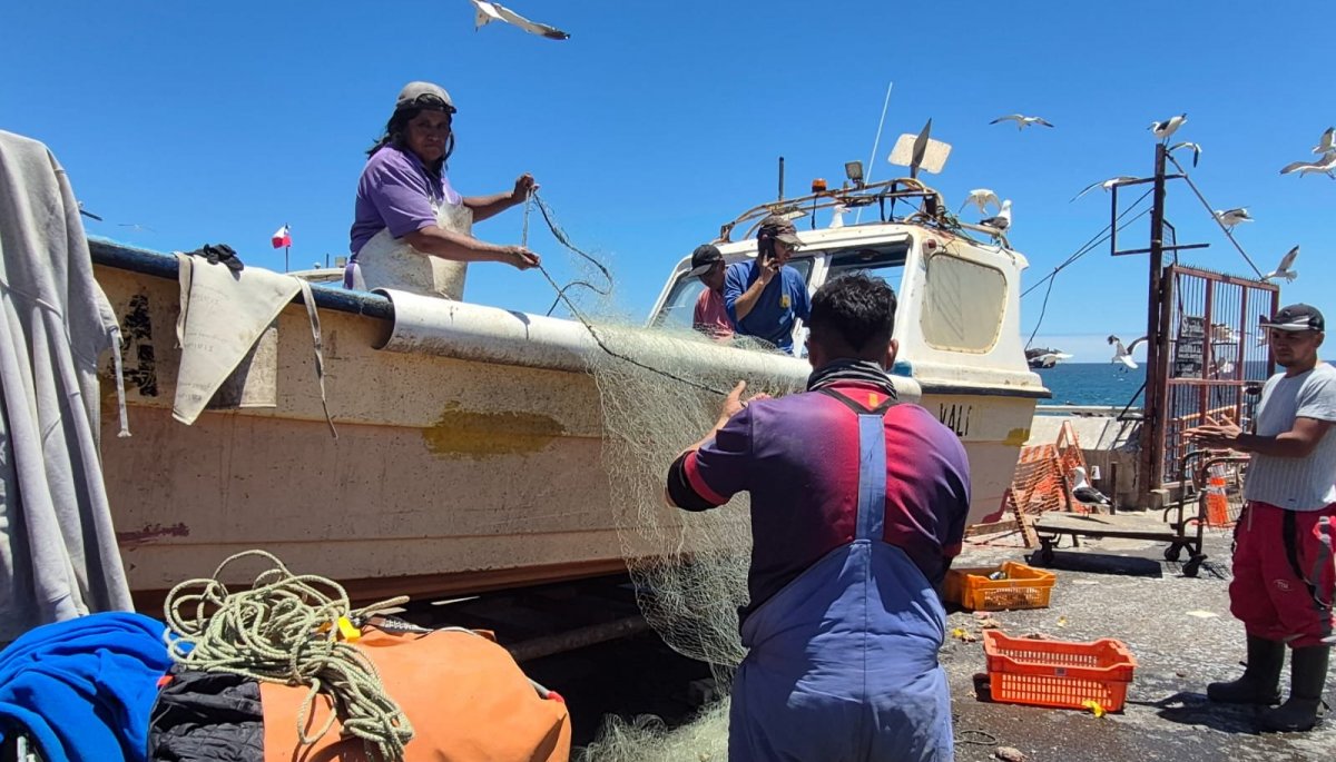 Las obras de conservación de la Caleta Portales en Valparaíso alcanzan más del 90% de avance.
