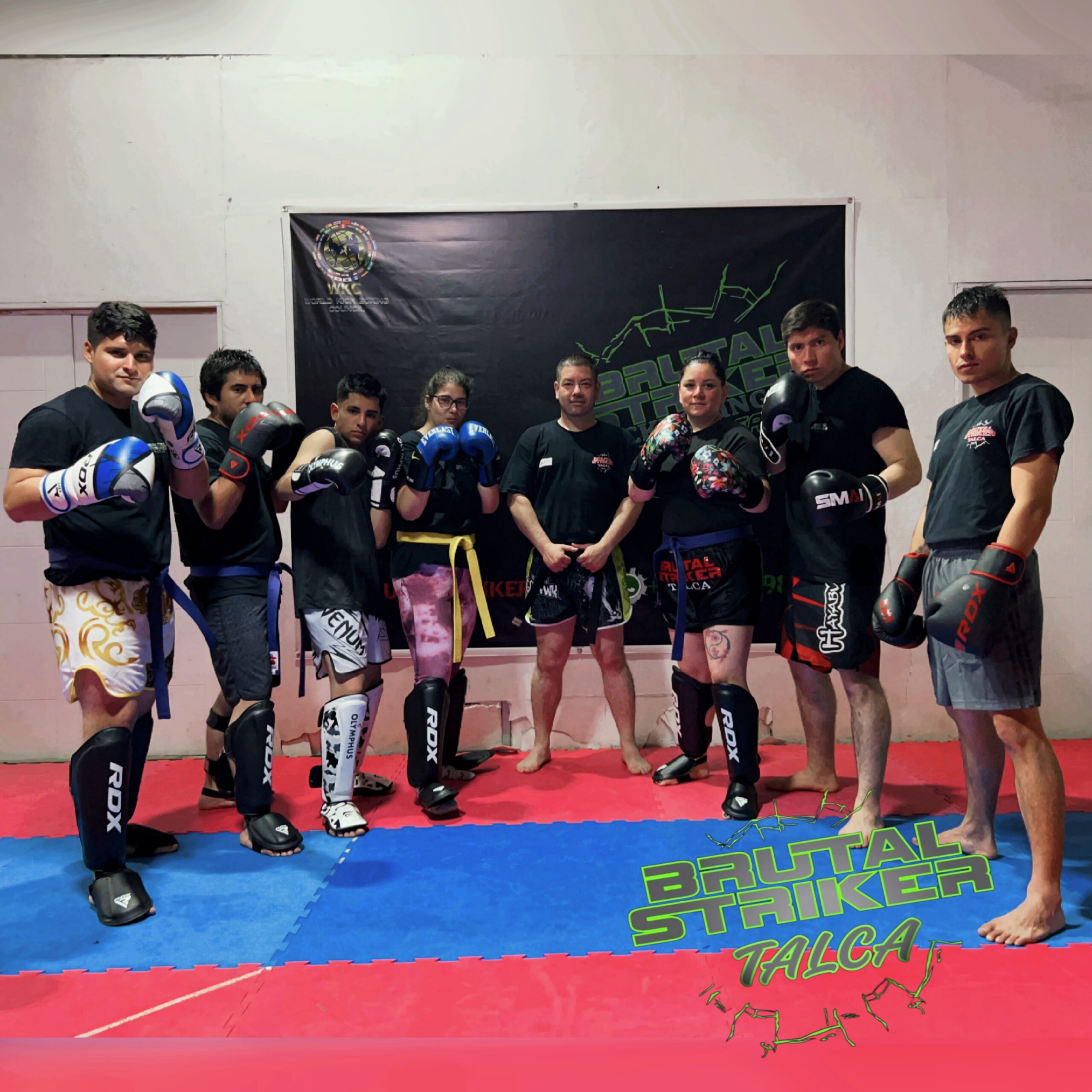 Kickboxing: Talca se alista para el Campeonato Latinoamericano.