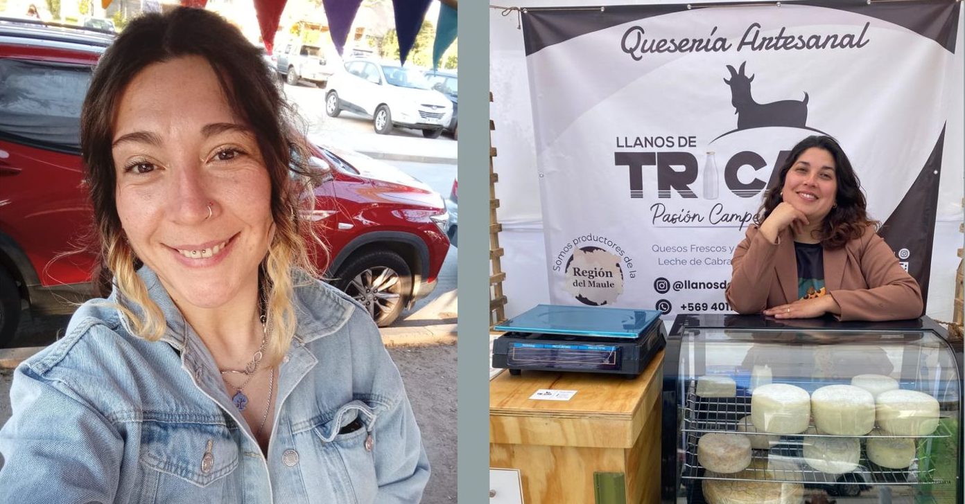 Creatividad con energía natural y queso de cabra de variados sabores: Relatos de emprendedoras maulinas.