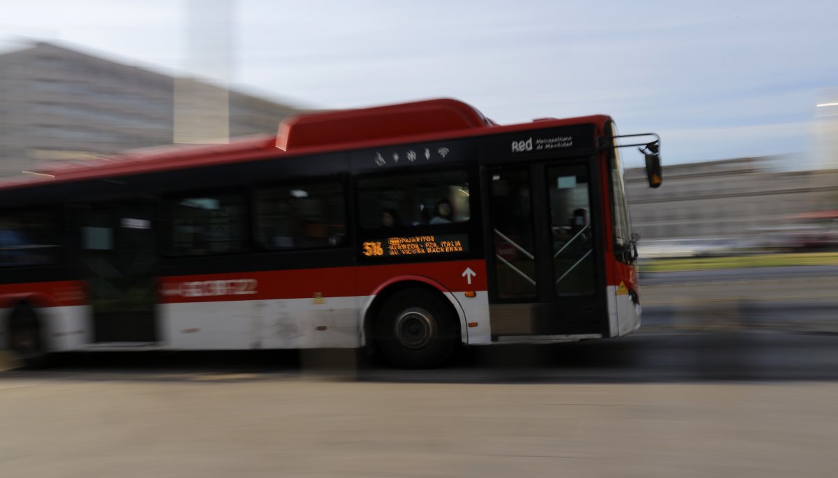 Nueva convocatoria para la adquisición de buses del sistema RED favorecerá a 16 comunas de la Región Metropolitana.