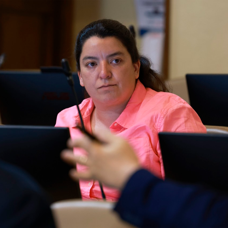 «El aborto es utilizado como un recurso cada vez que se presentan evaluaciones negativas», denuncia la diputada Romero, instando al Gobierno a poner en primer lugar la protección de las mujeres en medio de la creciente violencia.