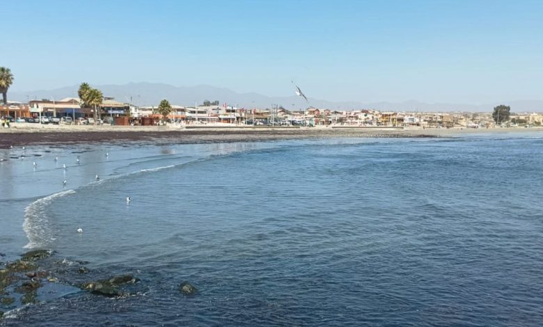 PDI indaga sobre el descubrimiento de dos cuerpos en Tongoy.