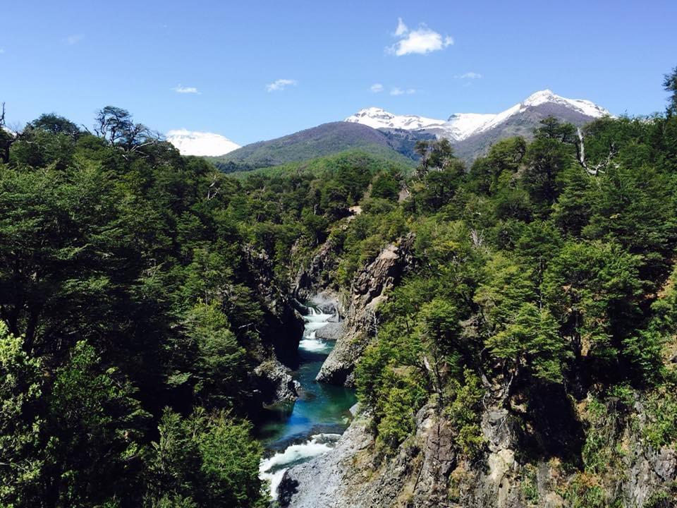 Consulta Indígena en el Maule: Protección de la Biodiversidad