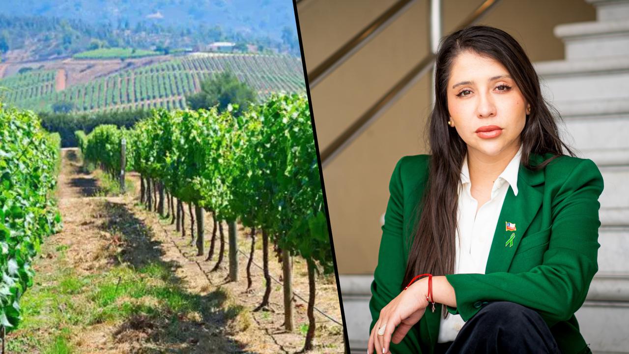 Valle del Maule: Un legado mundial en vitivinicultura.