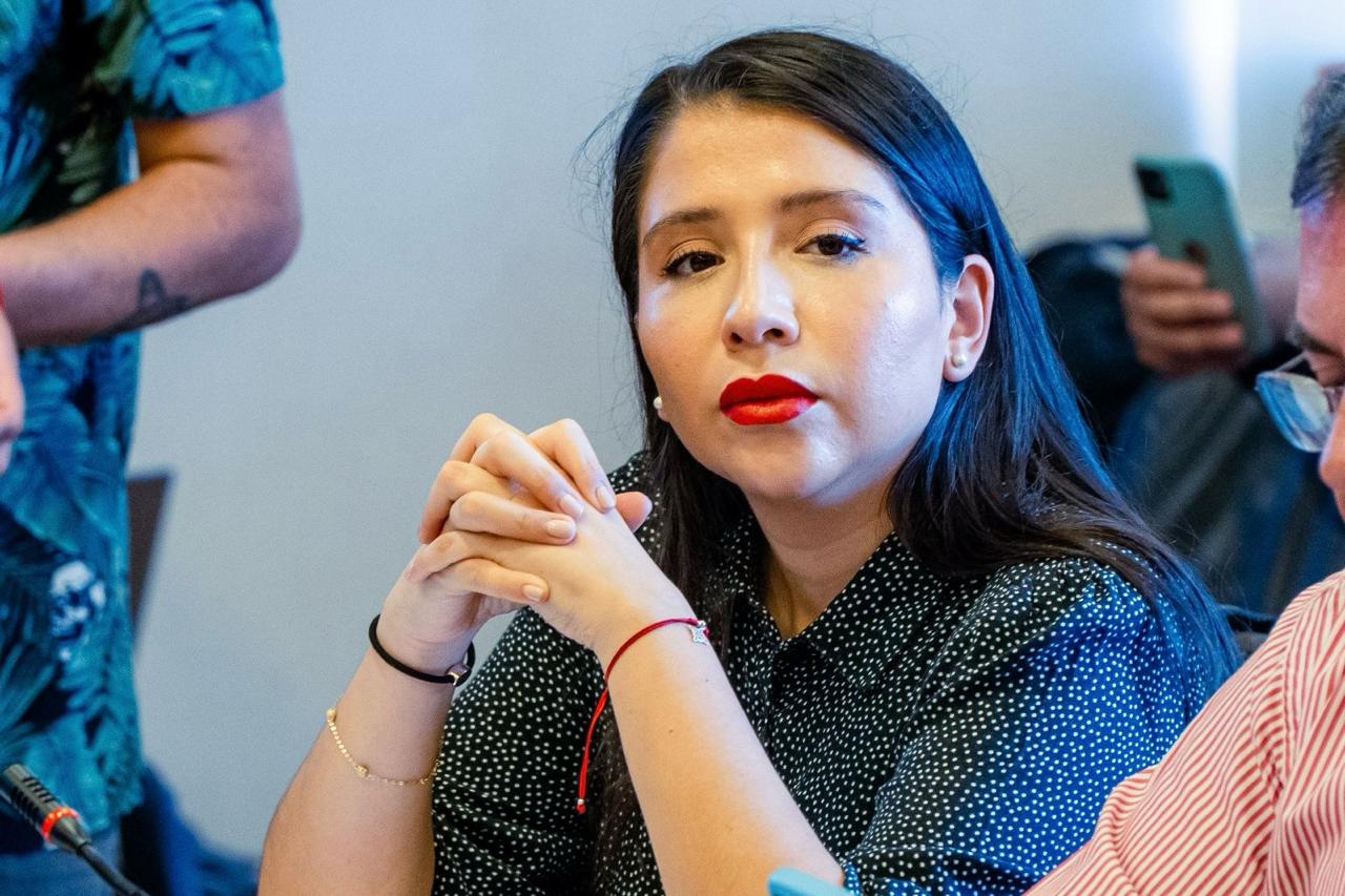 Cortes de Energía en la Región del Maule: Inquietud y Acciones a Tomar