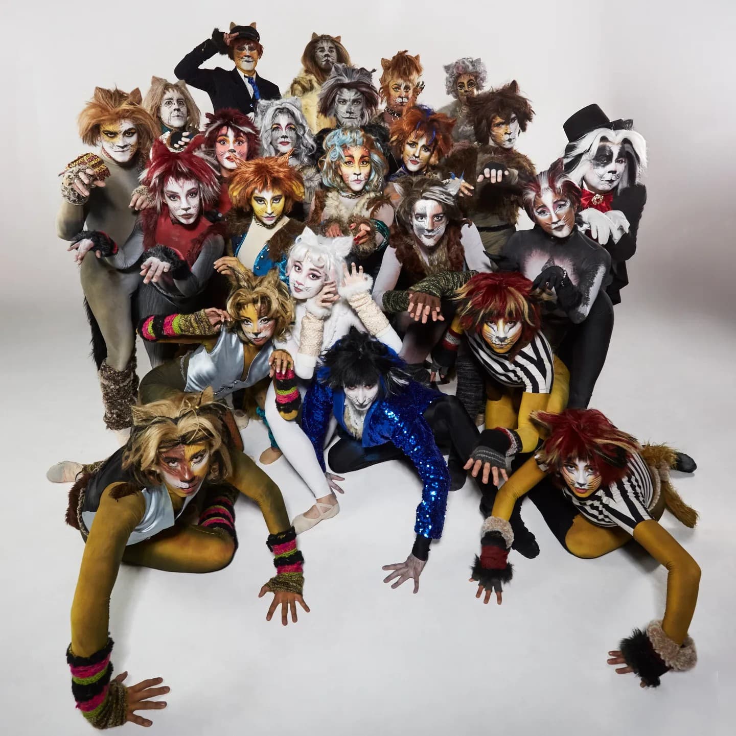 “CATS” presenta una emocionante función de despedida en el Teatro Municipal de Viña del Mar.