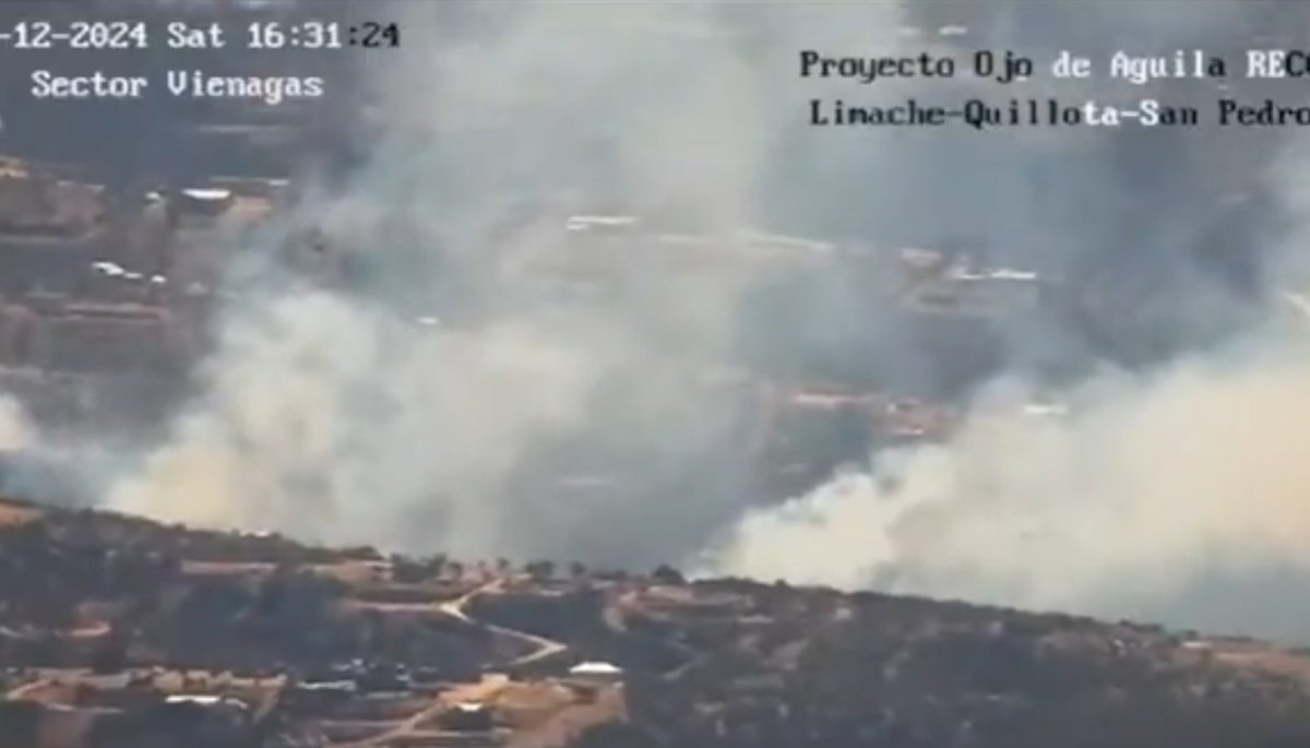 Incendio forestal impacta el Valle Las Mellizas en Limache y Senapred solicita evacuación.