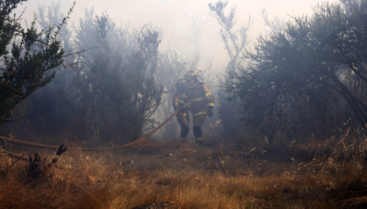 Se levanta la Alerta Roja en las comunas de Quintero y Quillota después de controlar el incendio forestal que afectó 6.4 hectáreas.