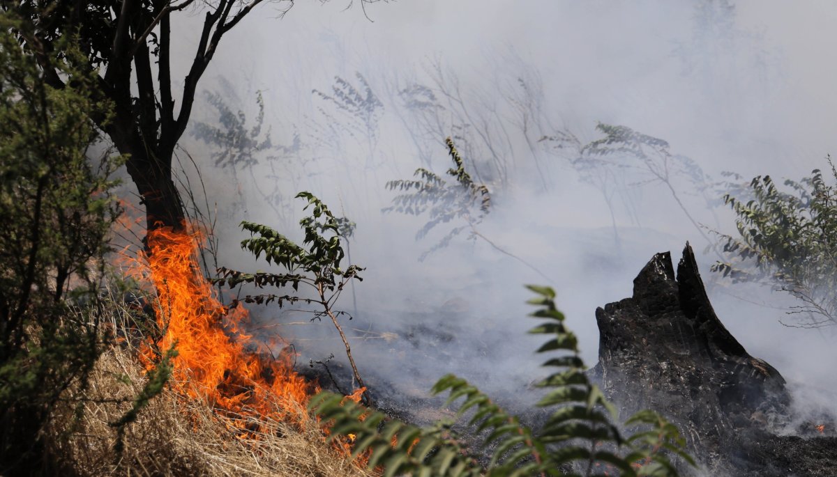 Se emite Alerta Temprana Preventiva para la región de Valparaíso debido a riesgo de incendios forestales.
