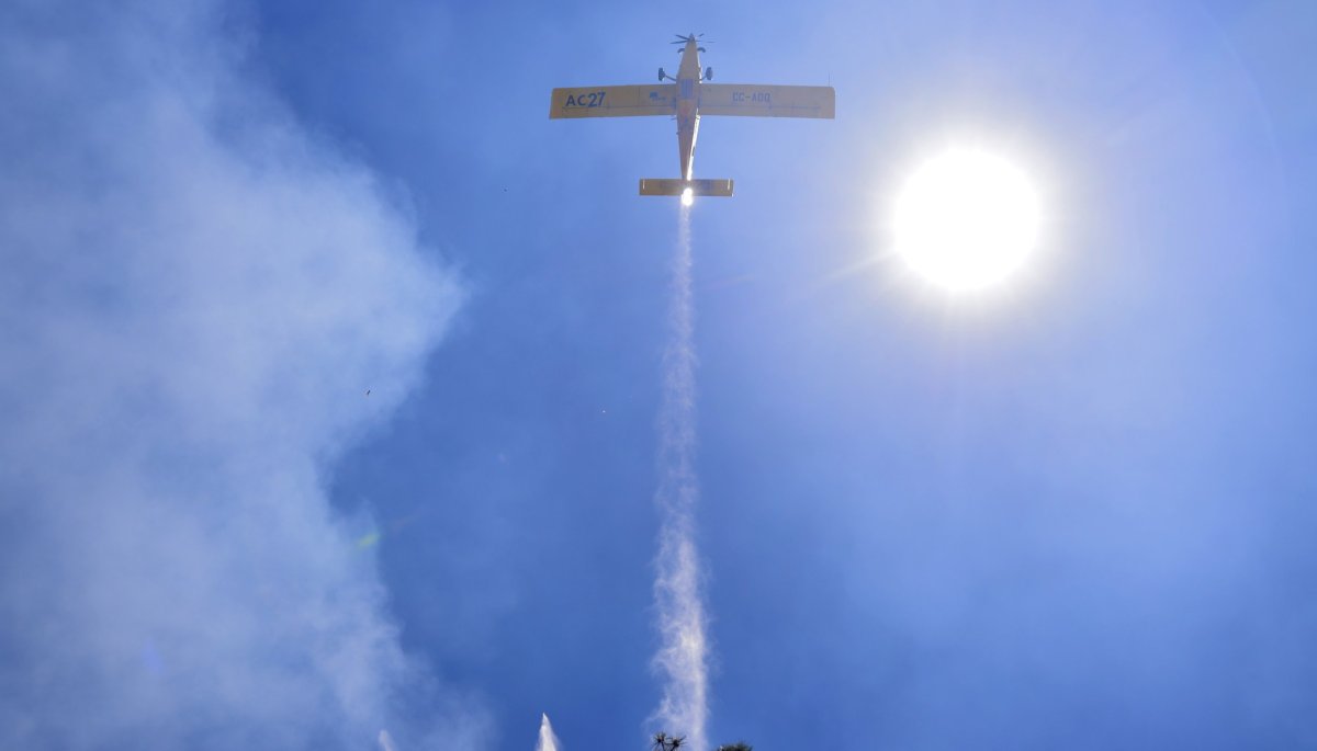 Desastre en San Esteban: Un incendio consume al menos 4 viviendas y causa la muerte de una mujer adulta.