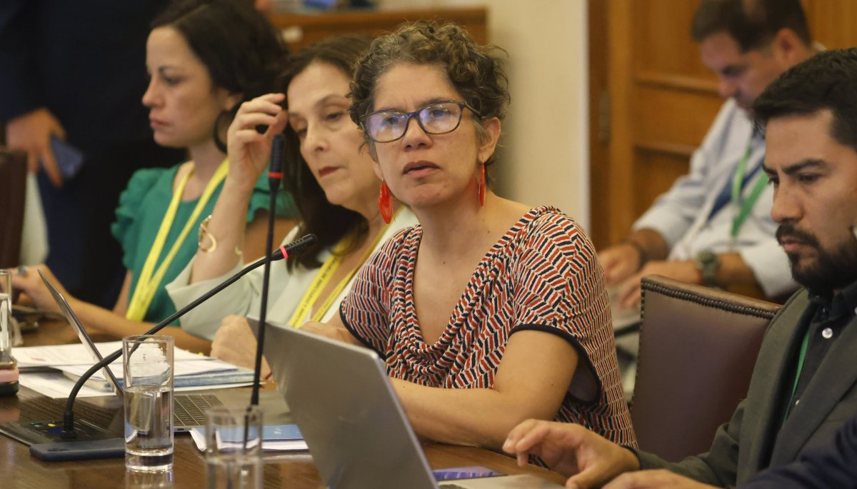 «Evaluación Ambiental 2.0»: La Comisión de Medio Ambiente del Senado aprueba una iniciativa que suprime el Comité de Ministros.