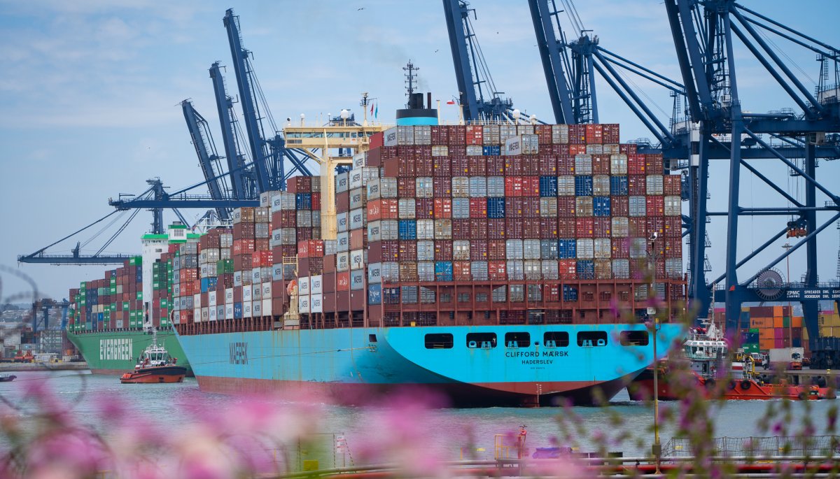 El 54% del total nacional: Terminales del Puerto San Antonio exportaron 17 mil contenedores de cereza a China esta temporada.