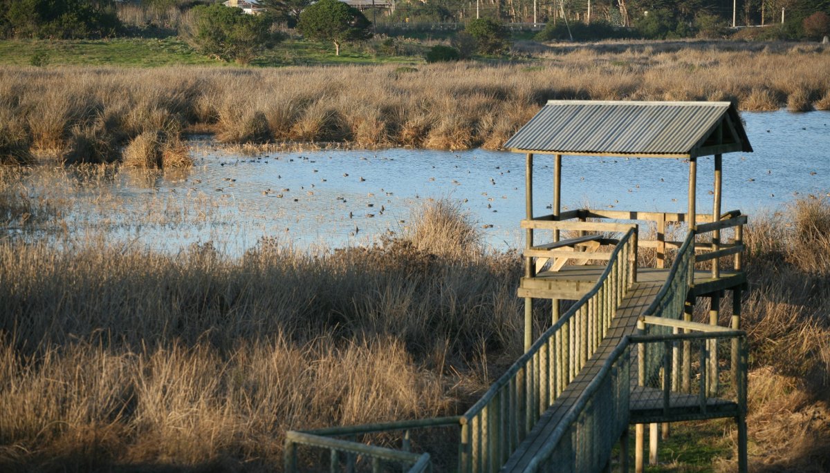 Conaf opta por cerrar áreas protegidas y poner en marcha patrullajes preventivos debido a la ola de calor extremo en la región de Valparaíso.
