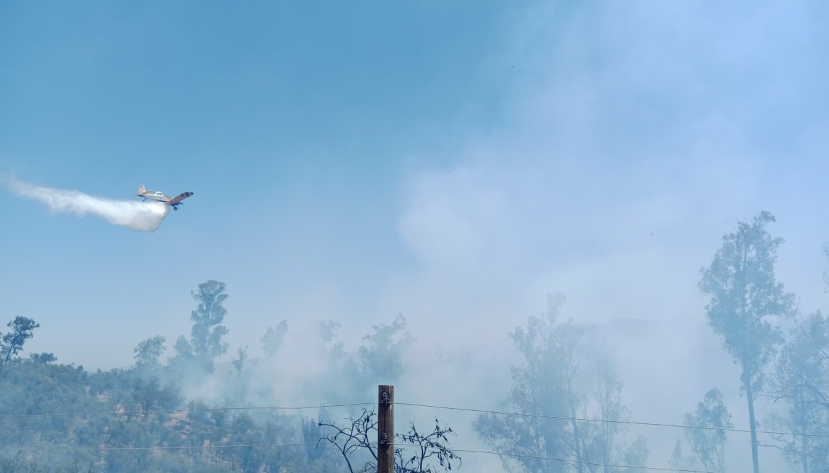 Un incendio forestal impacta más de 1,5 hectáreas en el sector La Palma de Quillota.