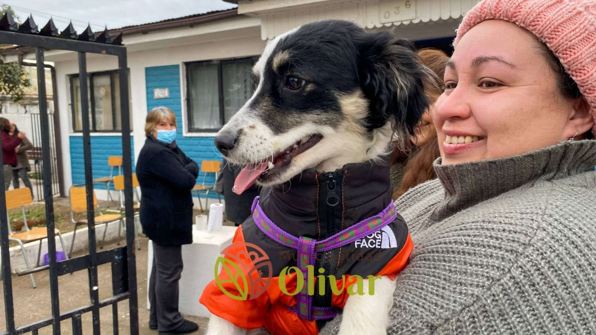 Finalizan con éxito las esterilizaciones de mascotas promovidas por el municipio de Olivar.