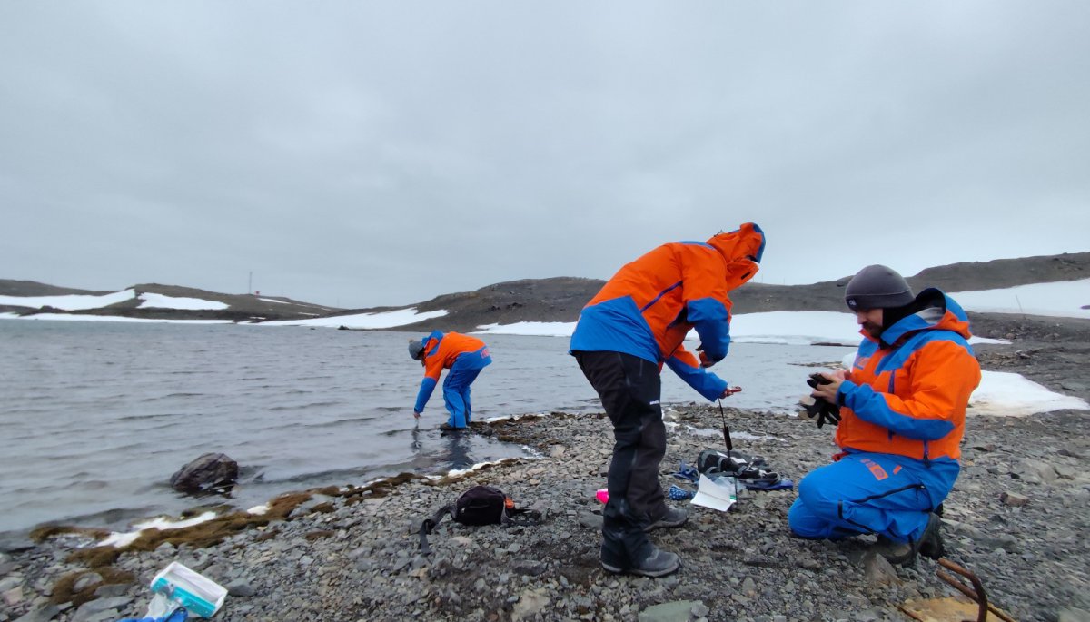 Otorga un renovado impulso y significancia a la investigación científica