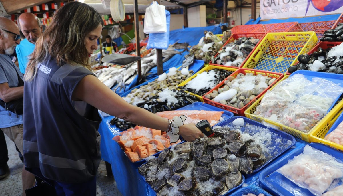 En la primera quincena de enero, se han tramitado 28 sumarios sanitarios relacionados con alimentos en la Quinta Región.