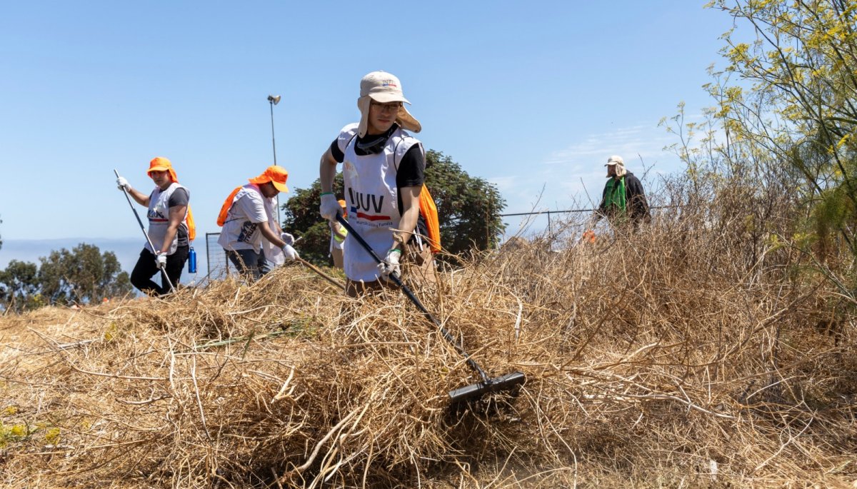 Más de 40 jóvenes de la región se unieron a la actividad de desmalezado preventivo en Valparaíso.