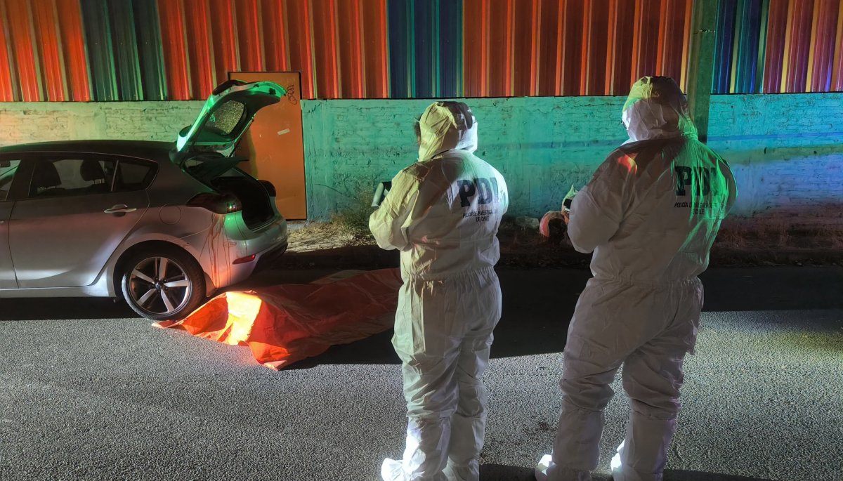 Anciano fue asesinado de manera brutal mientras daba de comer a unos perros en Viña del Mar.