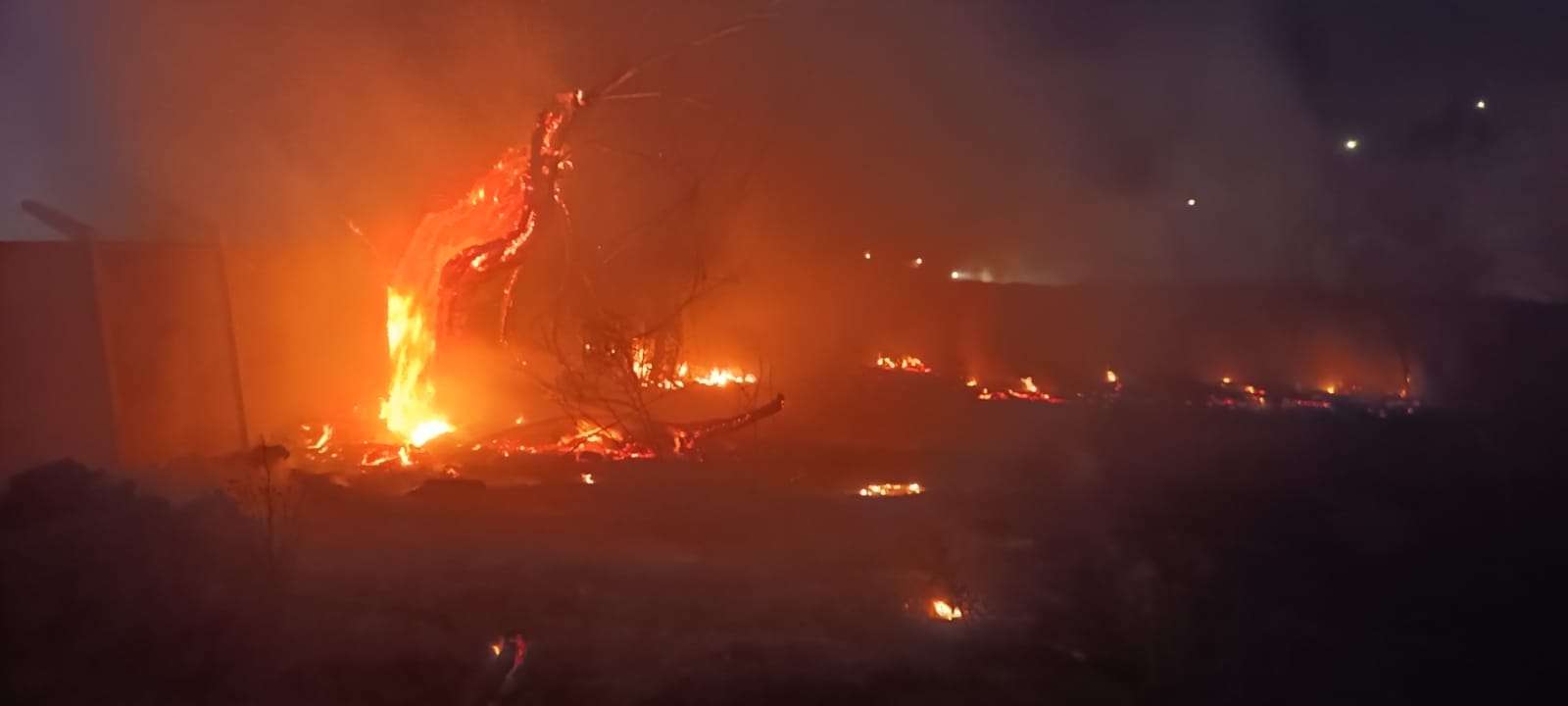 Nueva alerta de incendio forestal en Rancagua.