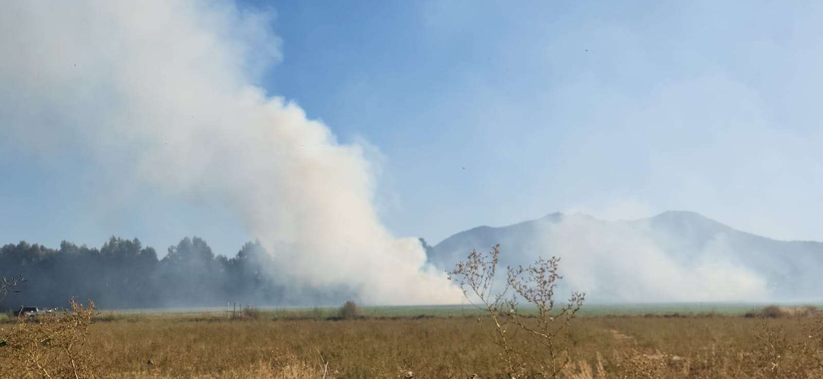 Se lucha contra un incendio forestal en San Joaquín de Los Mayos.