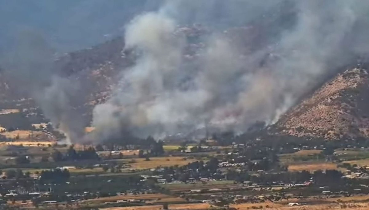 Alcaldesa de Nogales informa que el incendio que forzó la evacuación del sector El Navío afectó entre 4 y 4,5 hectáreas.