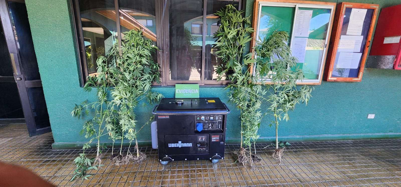 Dos arrestados por robo con violencia y receptación en San Vicente.