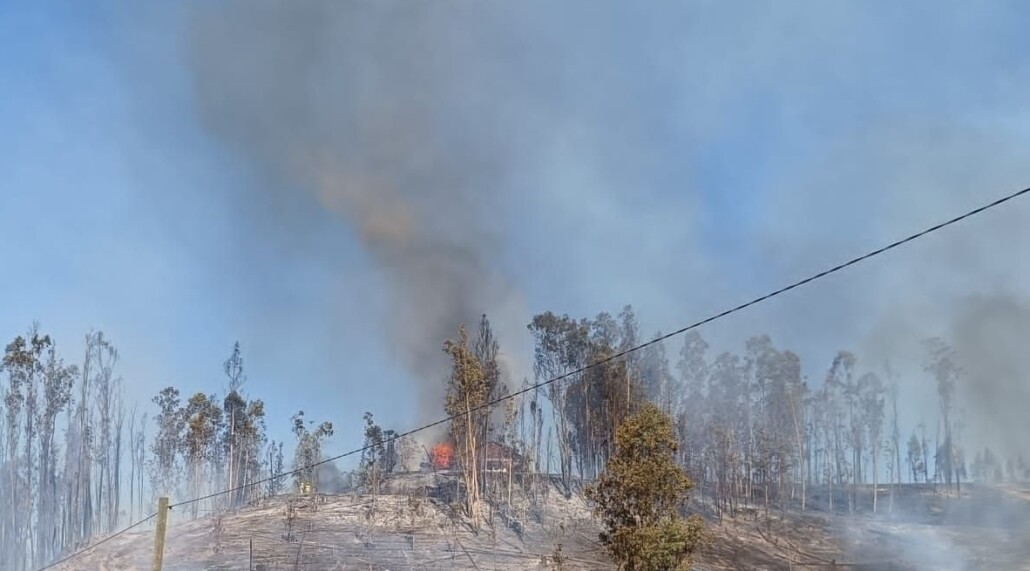 Adulto mayor fallece a causa de un incendio forestal en la zona rural de Curepto.