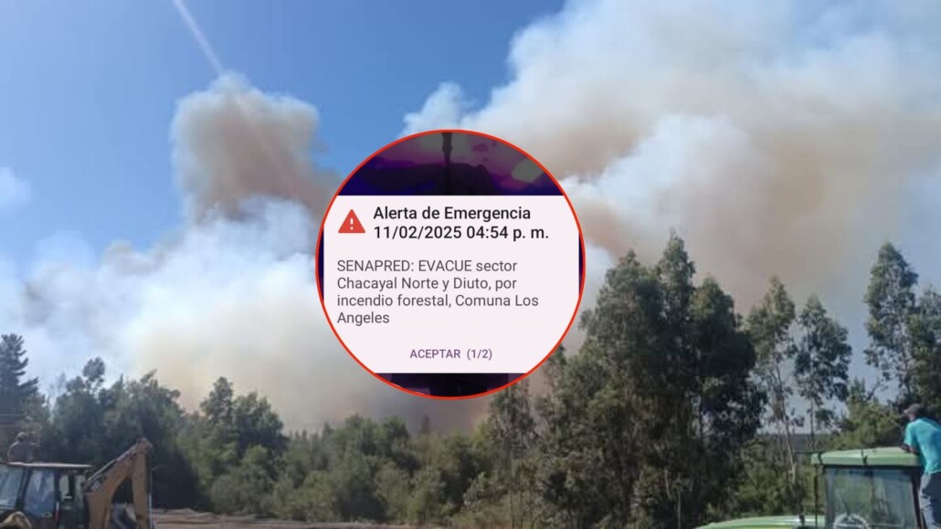 Alerta en Los Ángeles: Dispositivos móviles emiten aviso de evacuación por riesgo de incendio forestal.