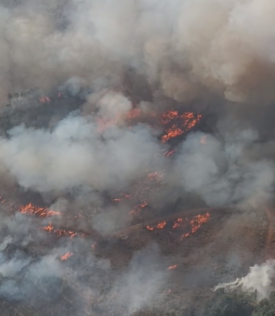 Villa Baviera: Alerta por incendio forestal en Parral