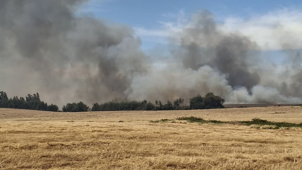 Declaran «Alerta Roja» en Mulchén debido a incendio forestal.