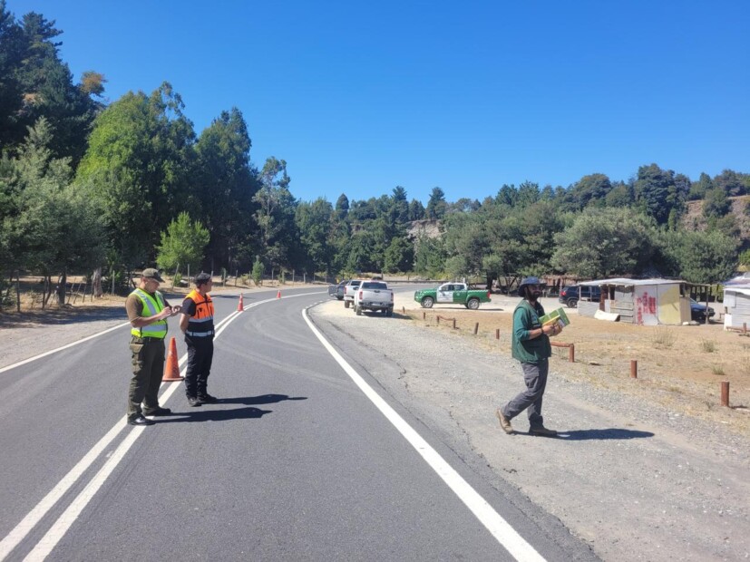 Refuerzan labores preventivas en Alto Biobío ante incendio forestal en curso.