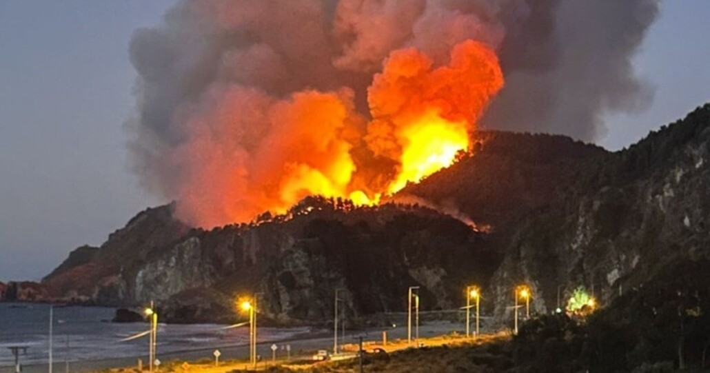 Incendio forestal en la comuna de Lebu lleva a declarar alerta roja y a emitir una orden de evacuación.
