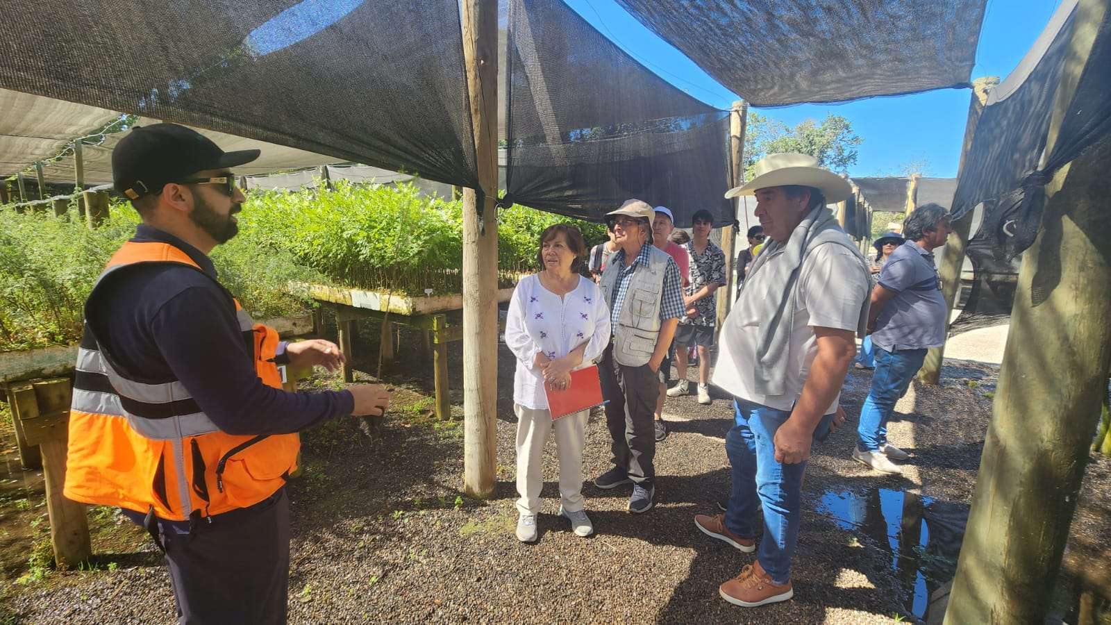 Adultos mayores de Alhué visitaron las instalaciones de la División El Teniente.