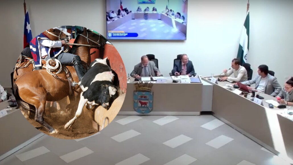 El Concejo Municipal aprueba la subvención de $33 millones de pesos para financiar el clasificatorio de rodeo en Los Ángeles y la Expo Socabío.
