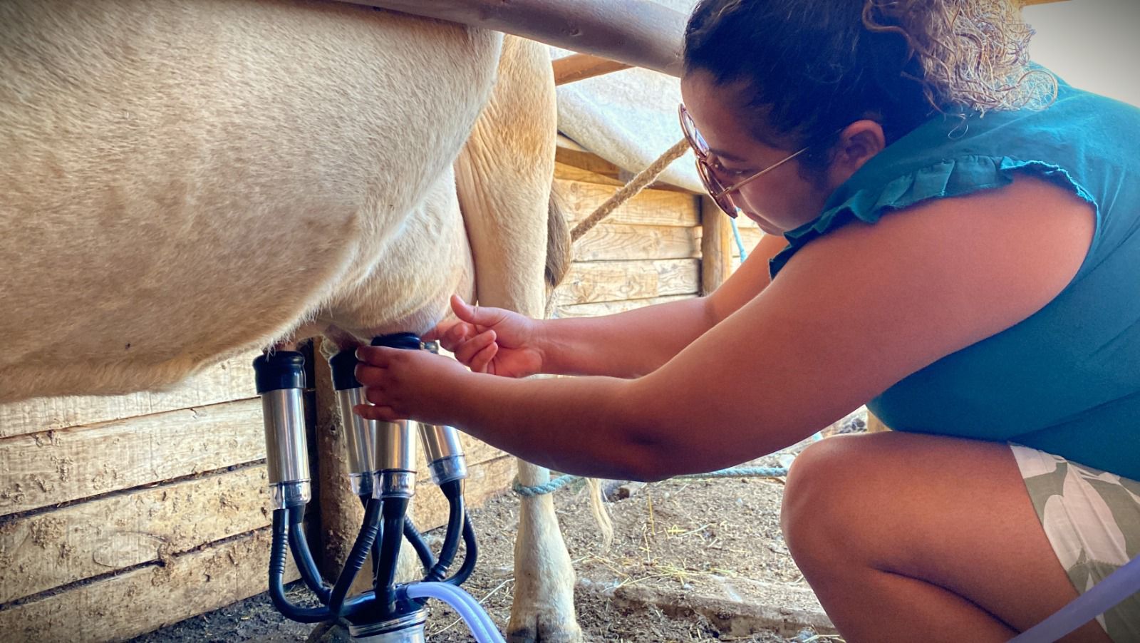 San Javier promueve el sector agropecuario con un fondo para el desarrollo agrícola.