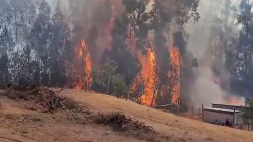 Se declara «Alerta Roja» en diversas comunas del país debido a incendios forestales.
