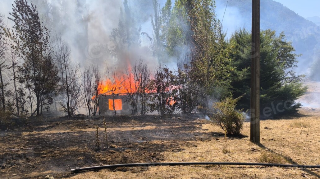 Incendio forestal en Alto Biobío arrasa con al menos una vivienda: se establece Alerta Roja.