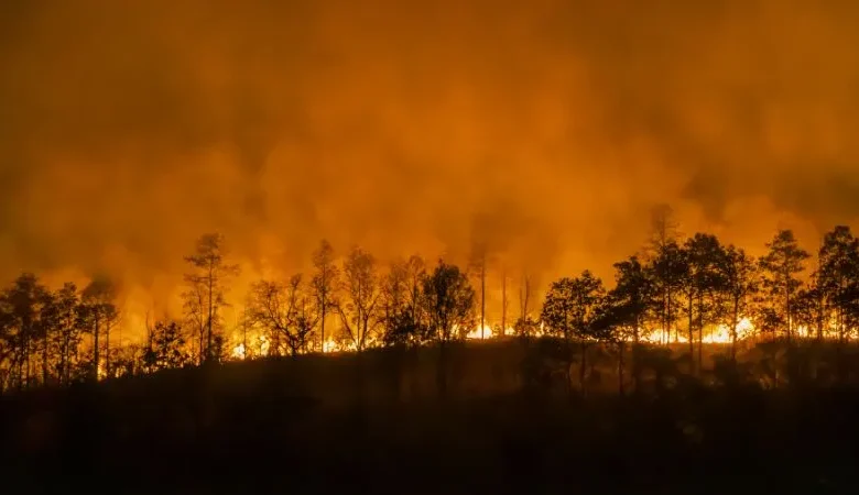 Incendios en La Araucanía: El Gobierno afirma que «la intencionalidad es clara».